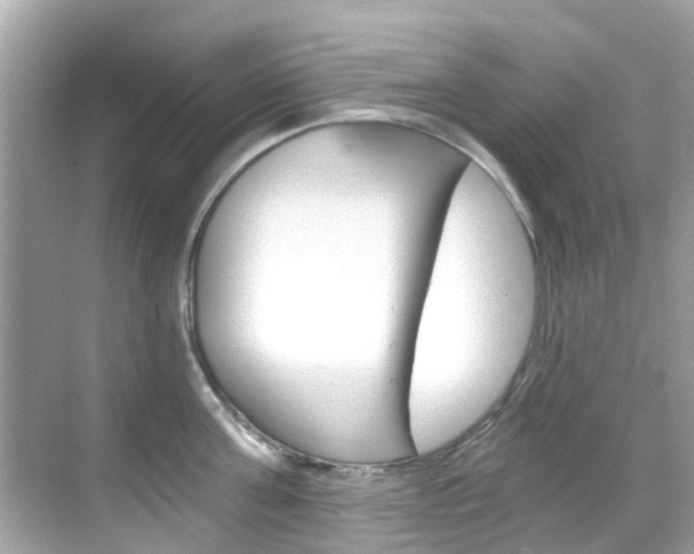 X0000068860811200605051042