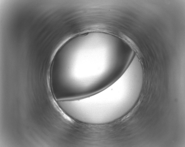 X0000068860812200605051042