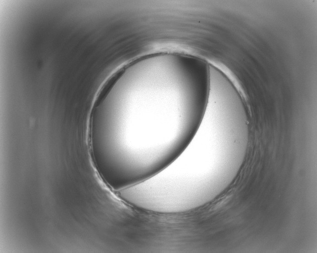 X0000068860815200605051042