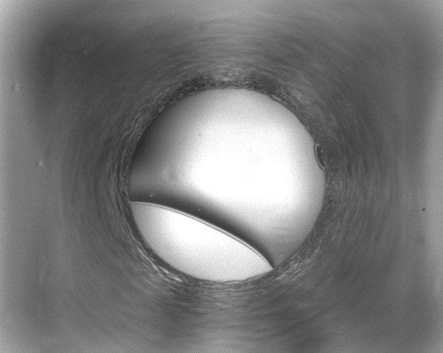 X0000068860817200605051041
