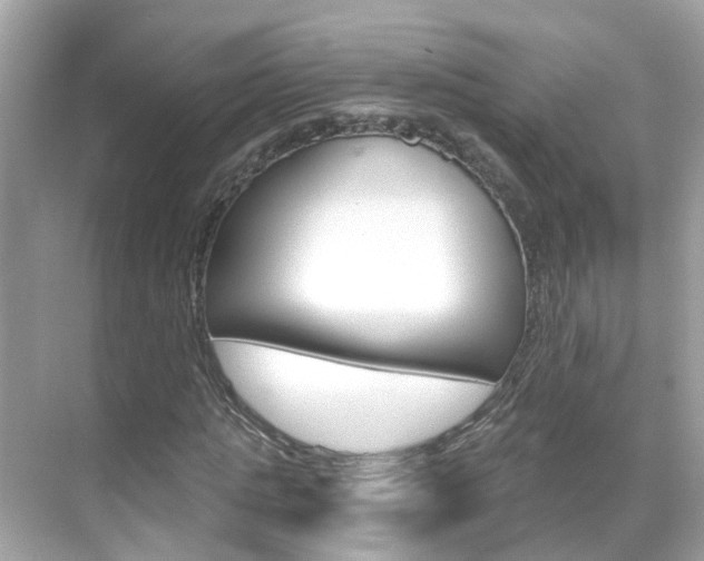 X0000068860821200605051041