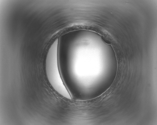 X0000068860822200605051041