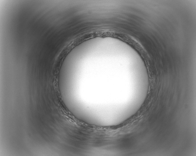 X0000068860823200605051041