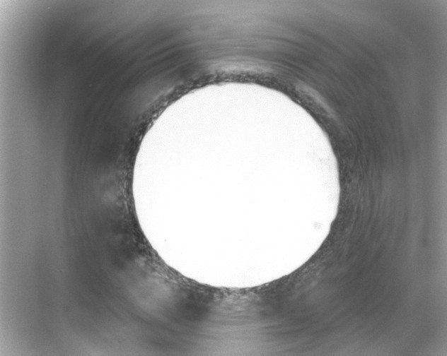 X0000068860824200605051041