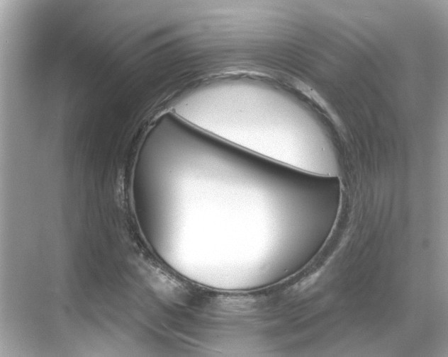 X0000068860825200605051041