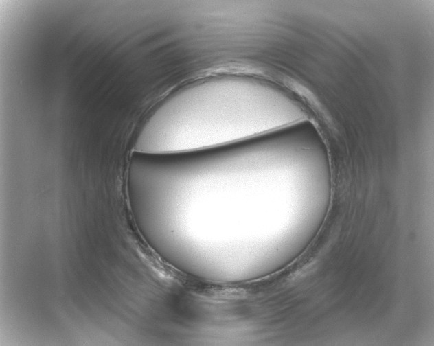 X0000068860833200605051041