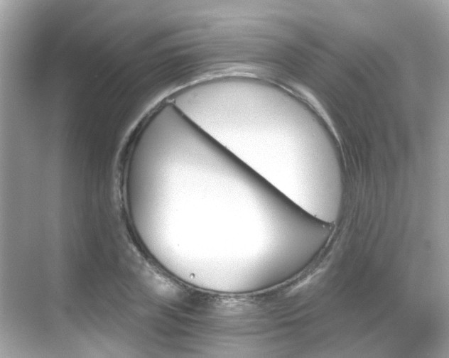 X0000068860835200605051041