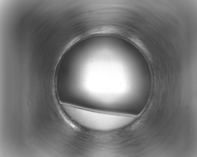 X0000068860850200605051041