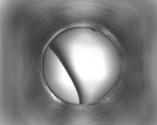 X0000068860852200605051041