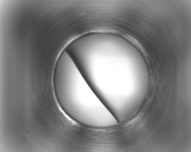X0000068860855200605051042
