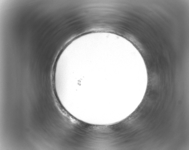 X0000068860856200605051042