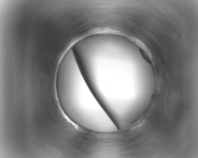 X0000068860863200605051042