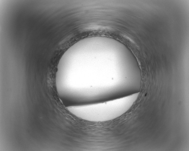 X0000068860869200605051041