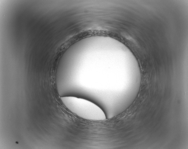 X0000068860870200605051041
