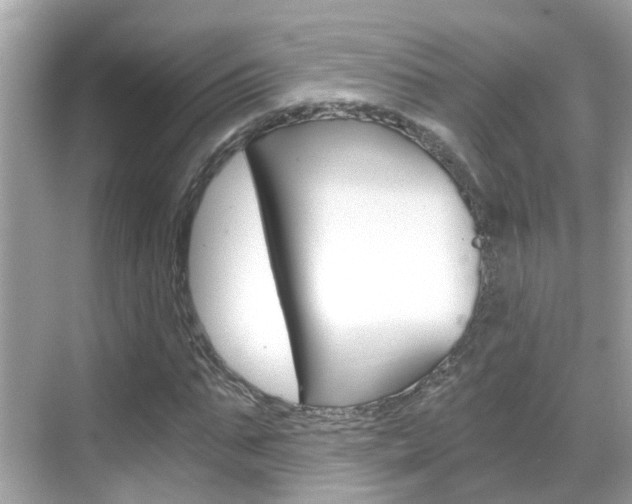 X0000068860871200605051041
