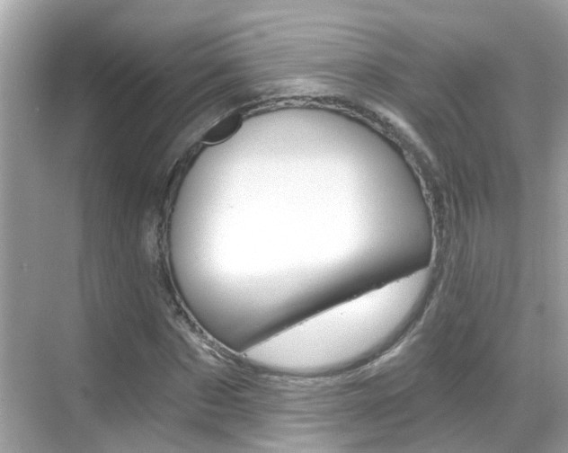 X0000068860873200605051041