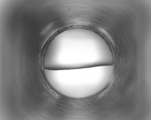 X0000068860875200605051041