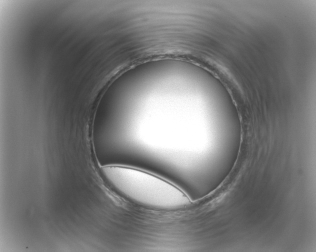 X0000068860881200605051041