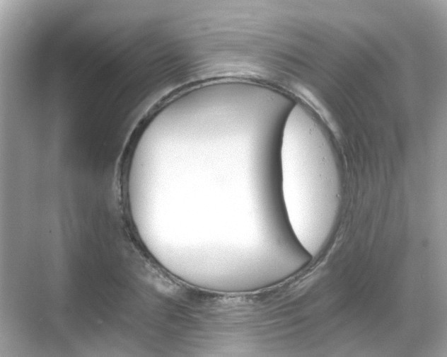 X0000068860883200605051041