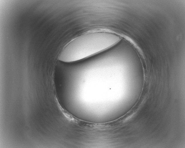 X0000068860905200605051040