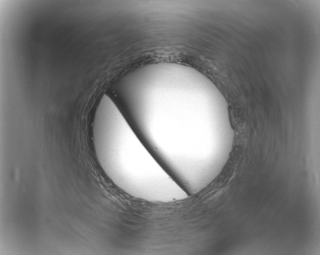 X0000068860913200605051039
