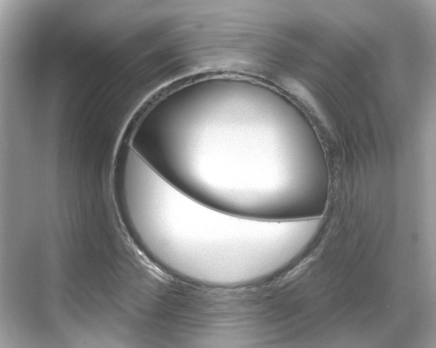 X0000068860924200605051039