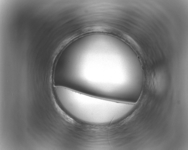 X0000068860938200605051040
