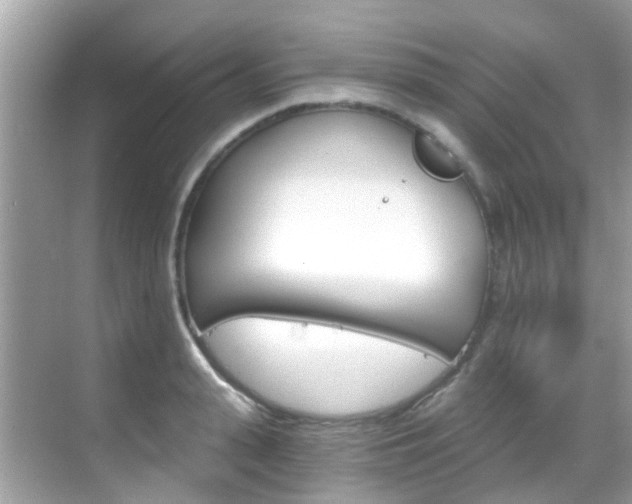 X0000068860943200605051040