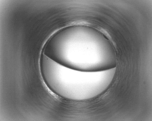 X0000068860947200605051040