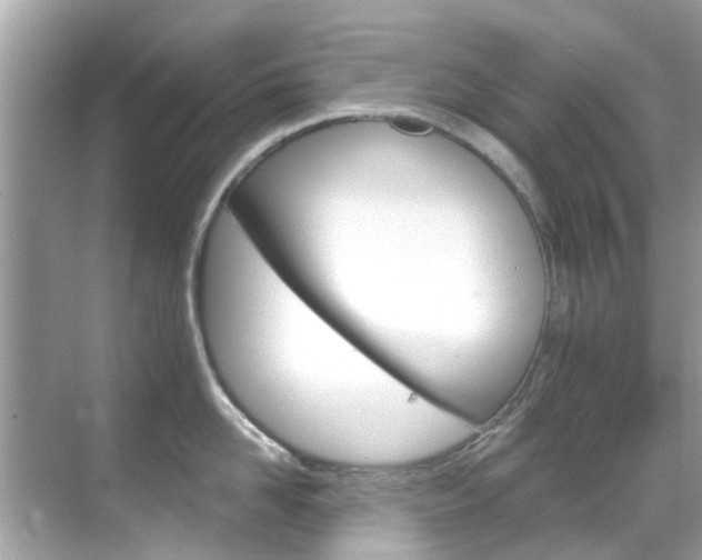 X0000068860958200605051040