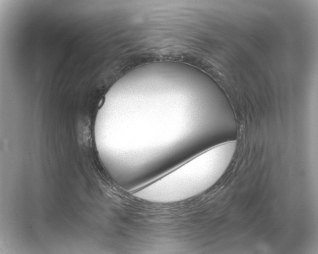 X0000068860963200605051039
