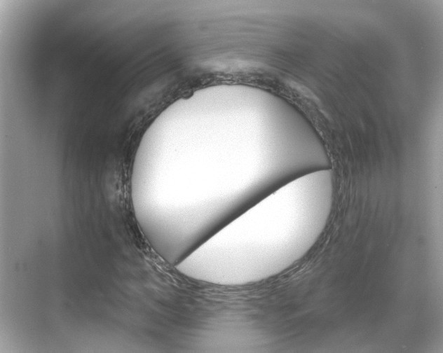 X0000068860966200605051039