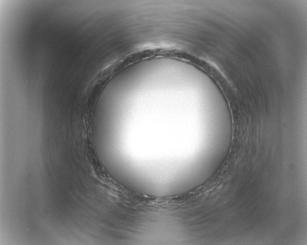 X0000068860967200605051039