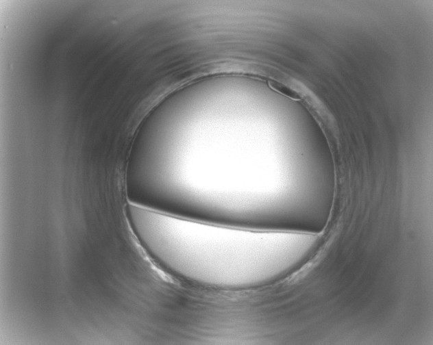 X0000068860993200605051039