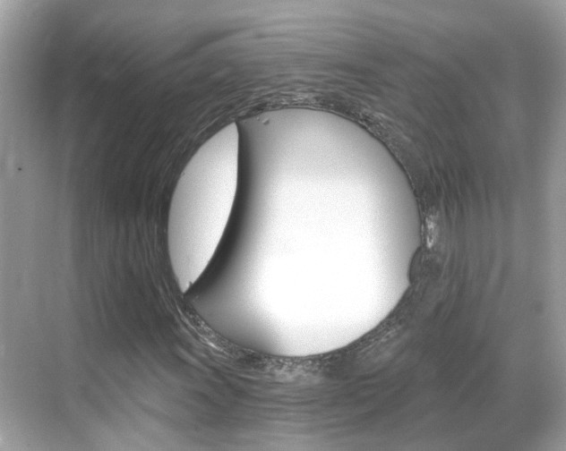 X0000068861011200605051038