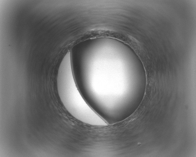 X0000068861014200605051038
