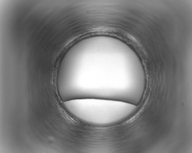 X0000068861017200605051038