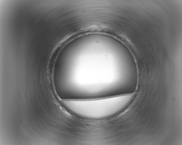 X0000068861018200605051038