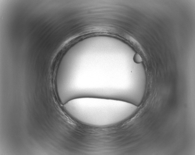 X0000068861019200605051038