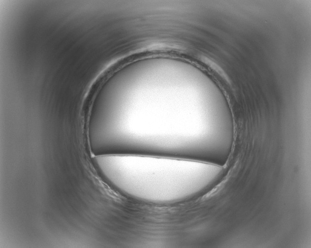 X0000068861021200605051038