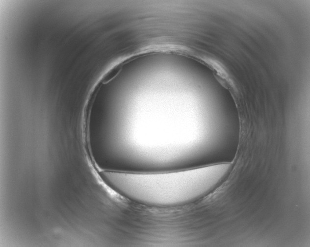 X0000068861046200605051038