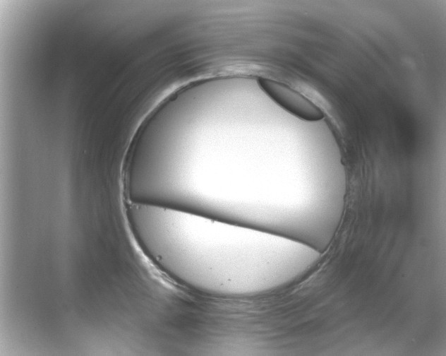 X0000068861047200605051038