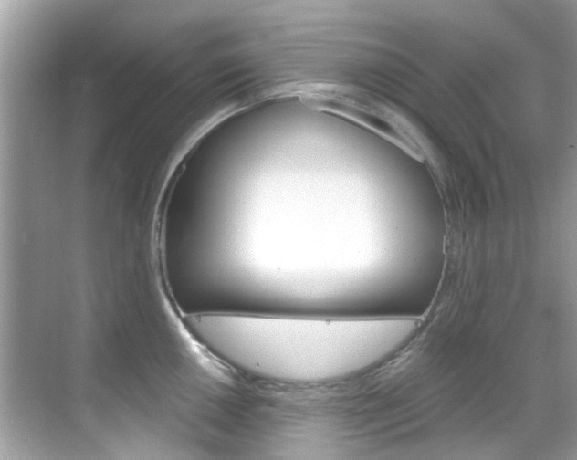 X0000068861050200605051038