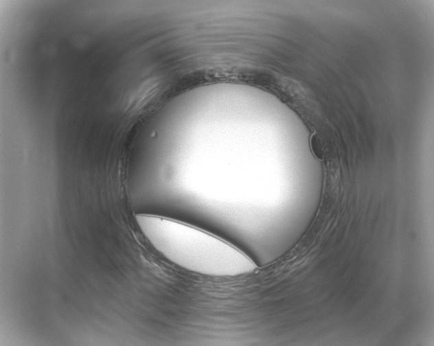 X0000068861060200605051038