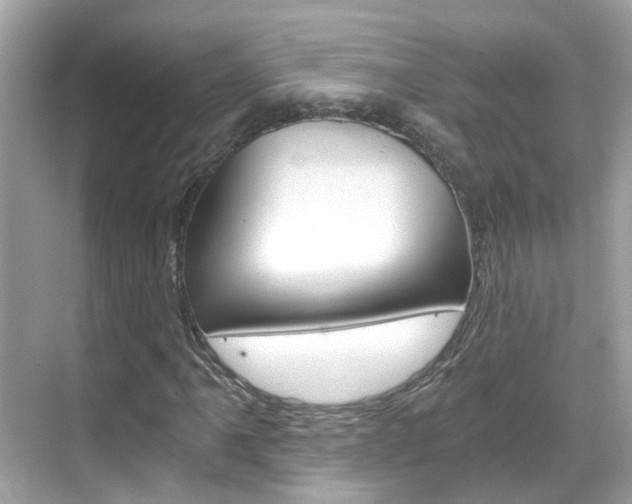 X0000068861061200605051038