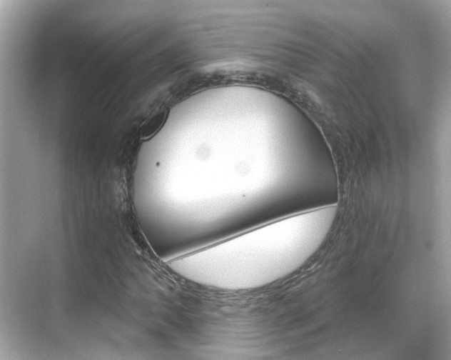 X0000068861062200605051038