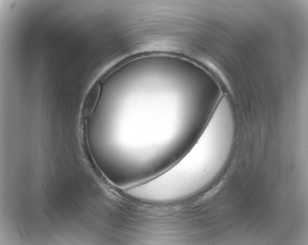 X0000068861077200605051037