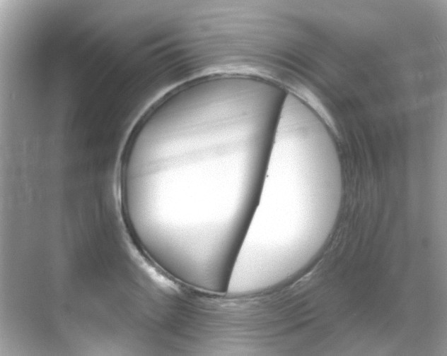 X0000068861084200605051037