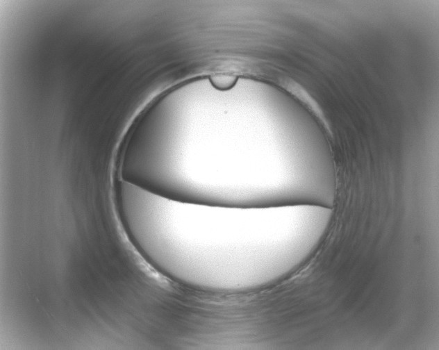 X0000068861091200605051037