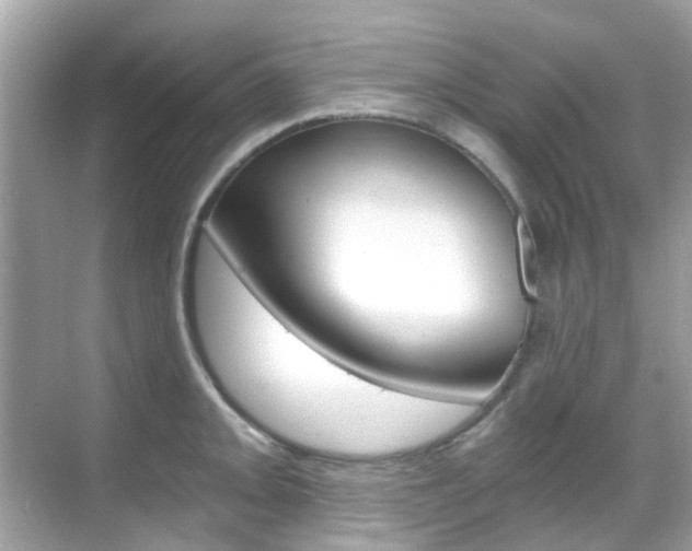 X0000068861093200605051037